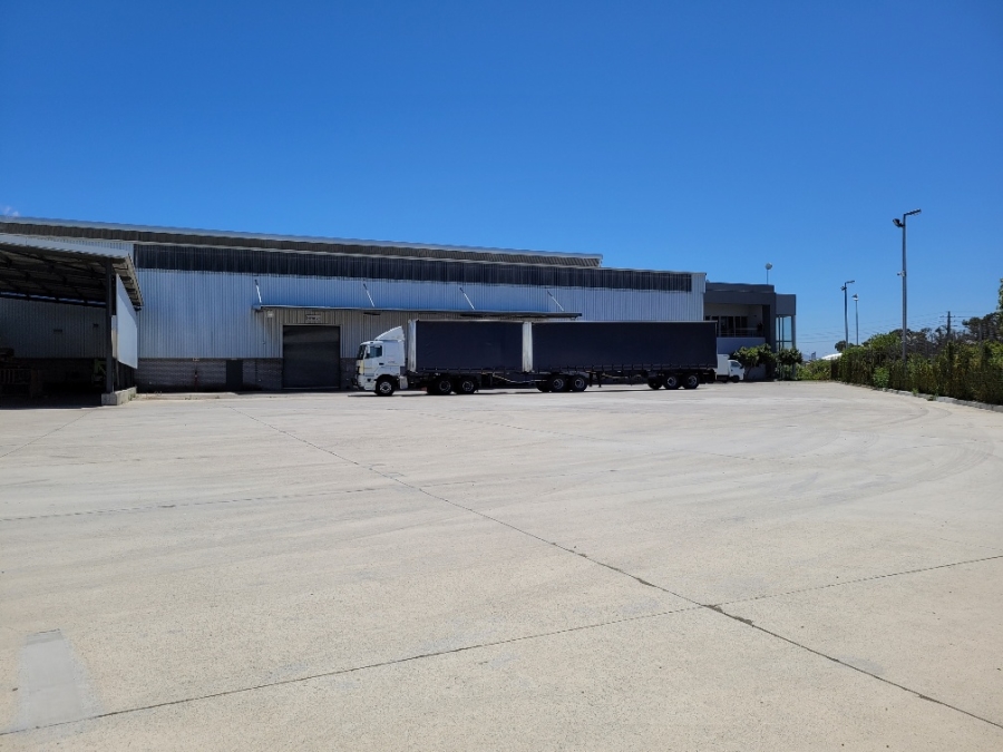 To Let commercial Property for Rent in Montague Gardens Western Cape